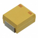 T513E687K006AH61107505参考图片